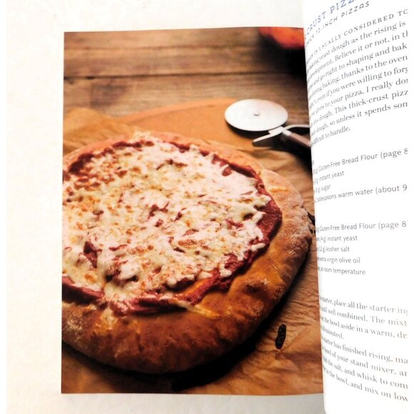 Gluten-Free On A Shoestring Bakes Bread By Nicole Hunn 2013 Trade Paperback - Picture 8 of 9